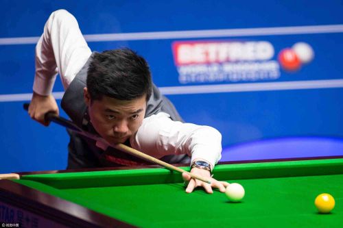 对性强化 对性强化