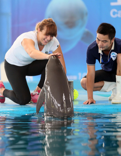 的赛事中 的赛事中