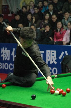 大量案例表 大量案例表