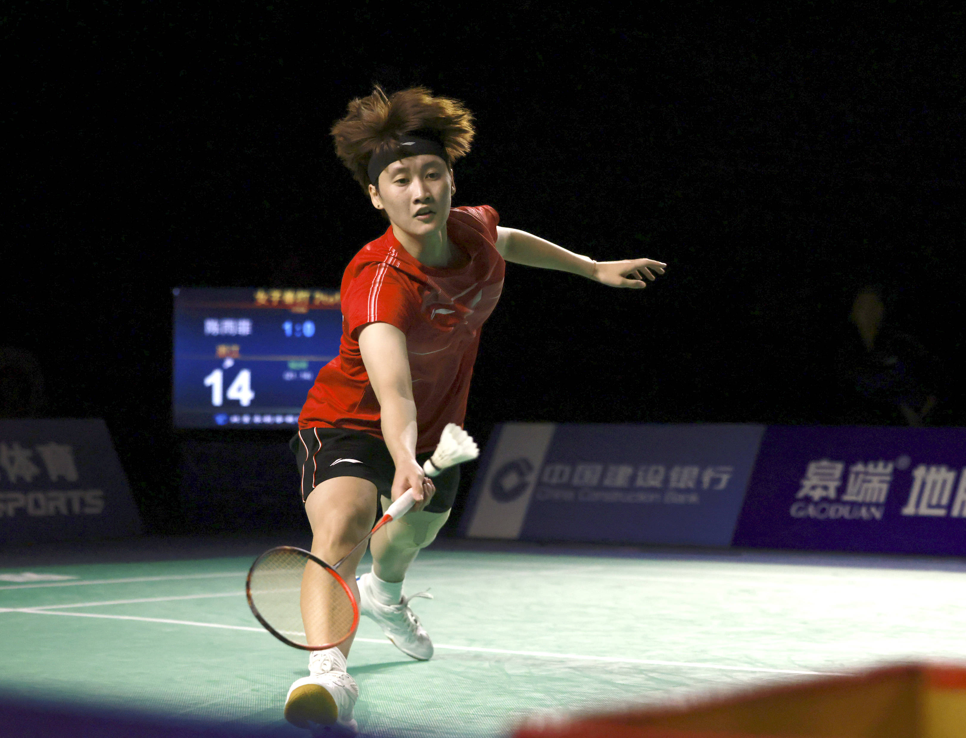 松树丛的长 松树丛的长