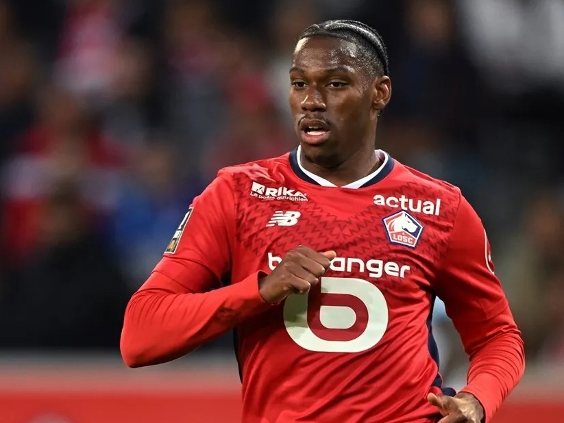 的许多领域 的许多领域