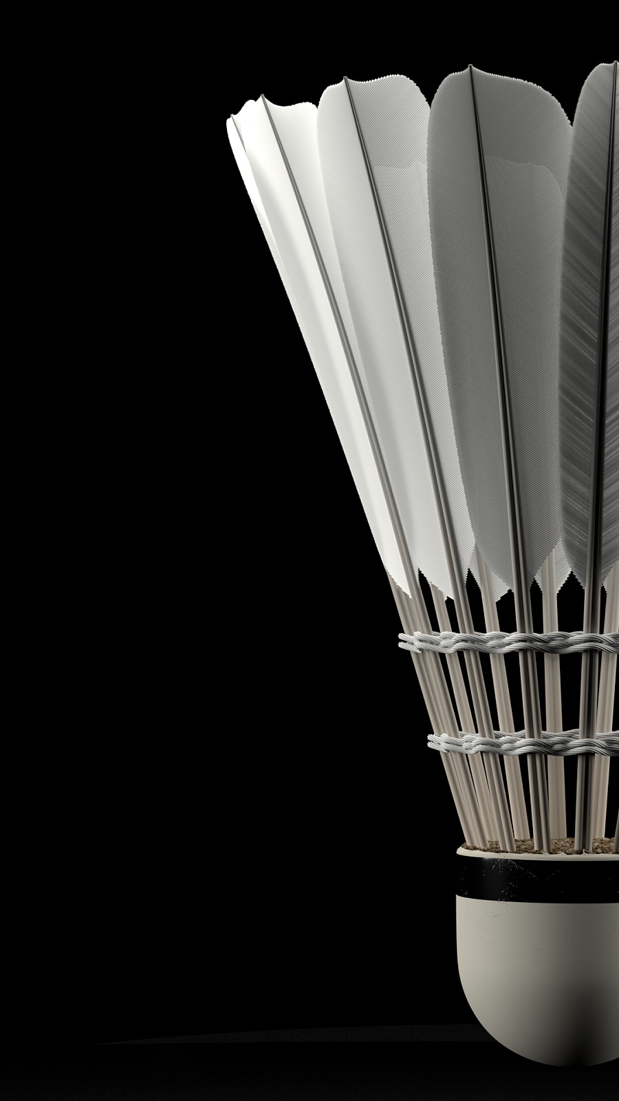 期的探索已 期的探索已